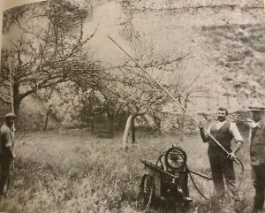 Autrefois ou Dis grand père raconte Châteauneuf