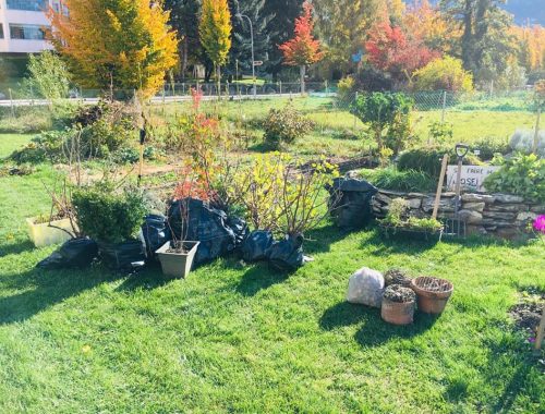 Lieux de rencontres
